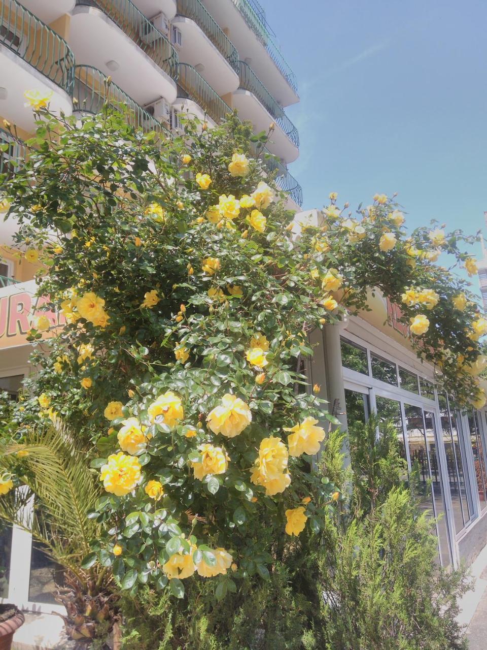 Hotel Yantra サニービーチ エクステリア 写真